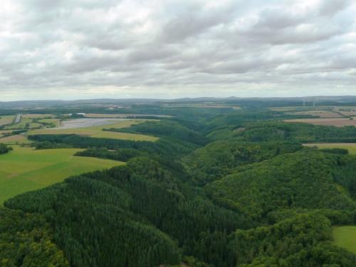 Nördl. Sammetbachtal