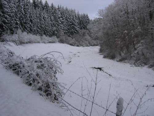 Lambach im Winter