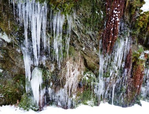 Winter am Sammetbach