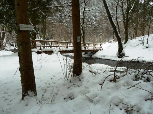 Brücke bei der Berenswiese
