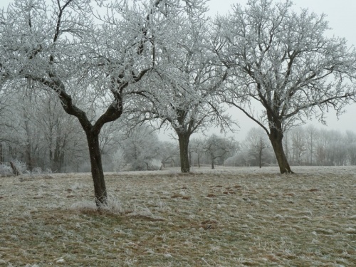 Winter in Hasborn